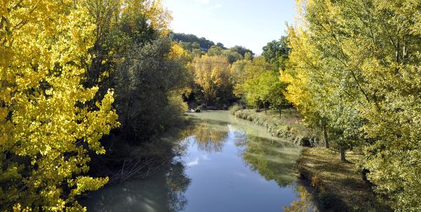 Fiume Tevere con alberi sulle sponde